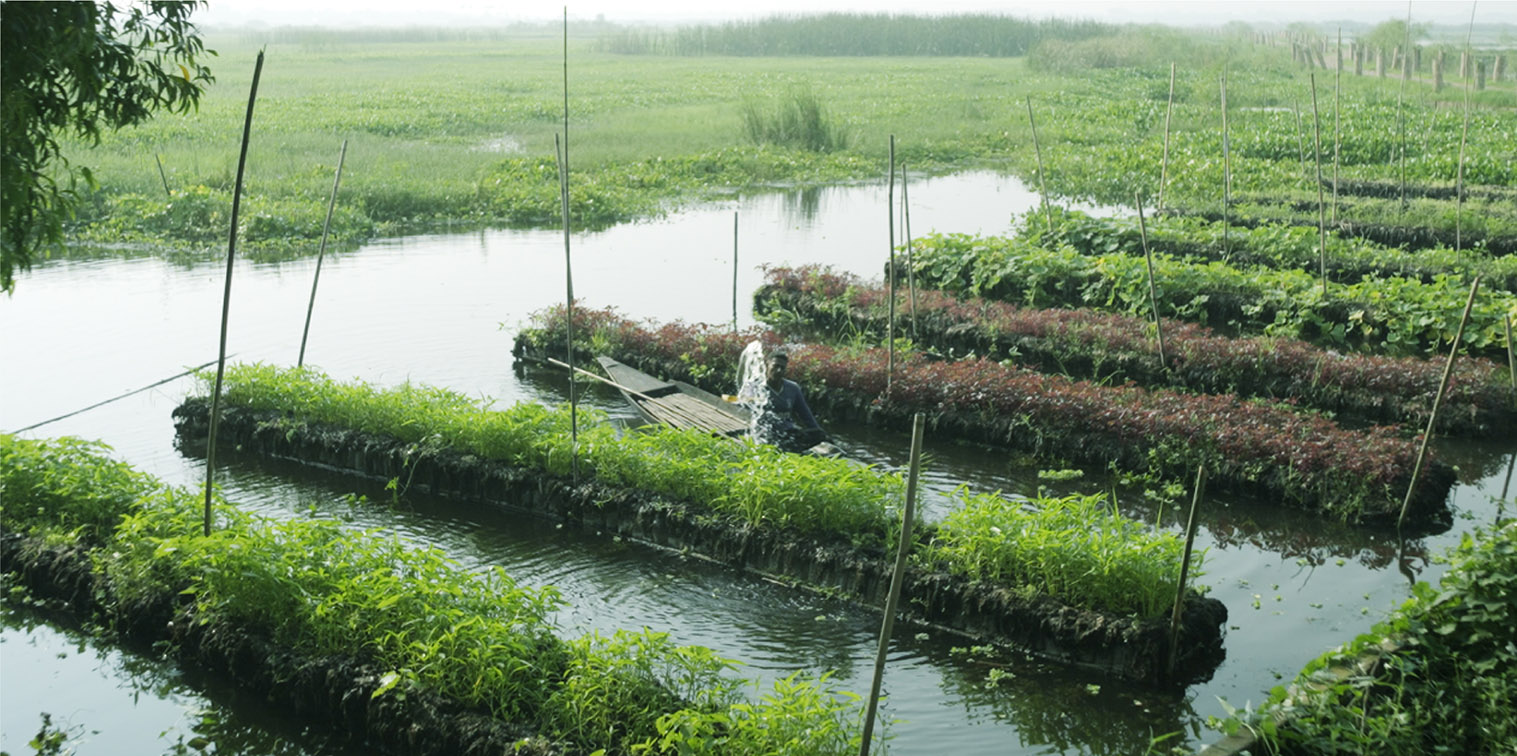 MGI transforms plastic waste into floating farms for landless farmers