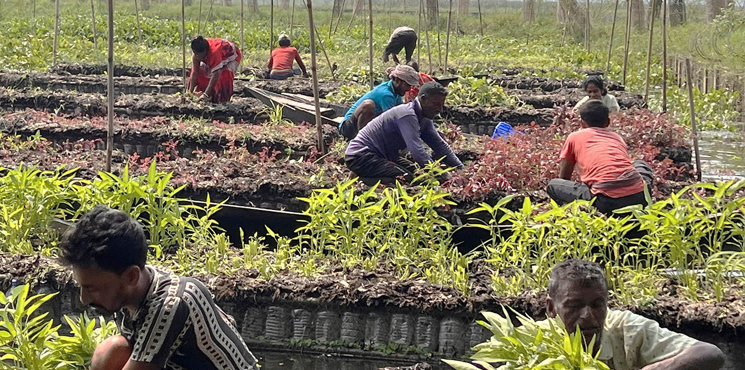 MGI transforms plastic waste into floating farms for landless farmers