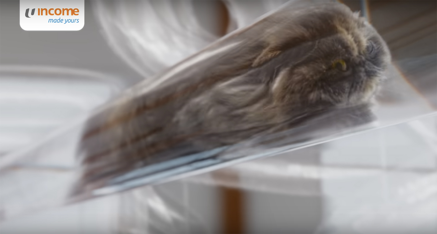 BBH Singapore x Publicis and Income Insurance compare the flexibility of cats to investments via latest spot