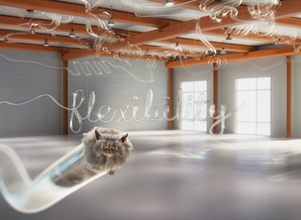 BBH Singapore x Publicis and Income Insurance compare the flexibility of cats to investments via latest spot