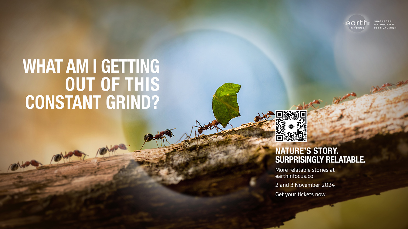 Wild Space launches Singapore’s first nature film festival with surprisingly relatable stories