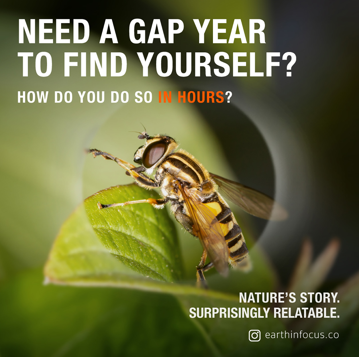 Wild Space launches Singapore’s first nature film festival with surprisingly relatable stories