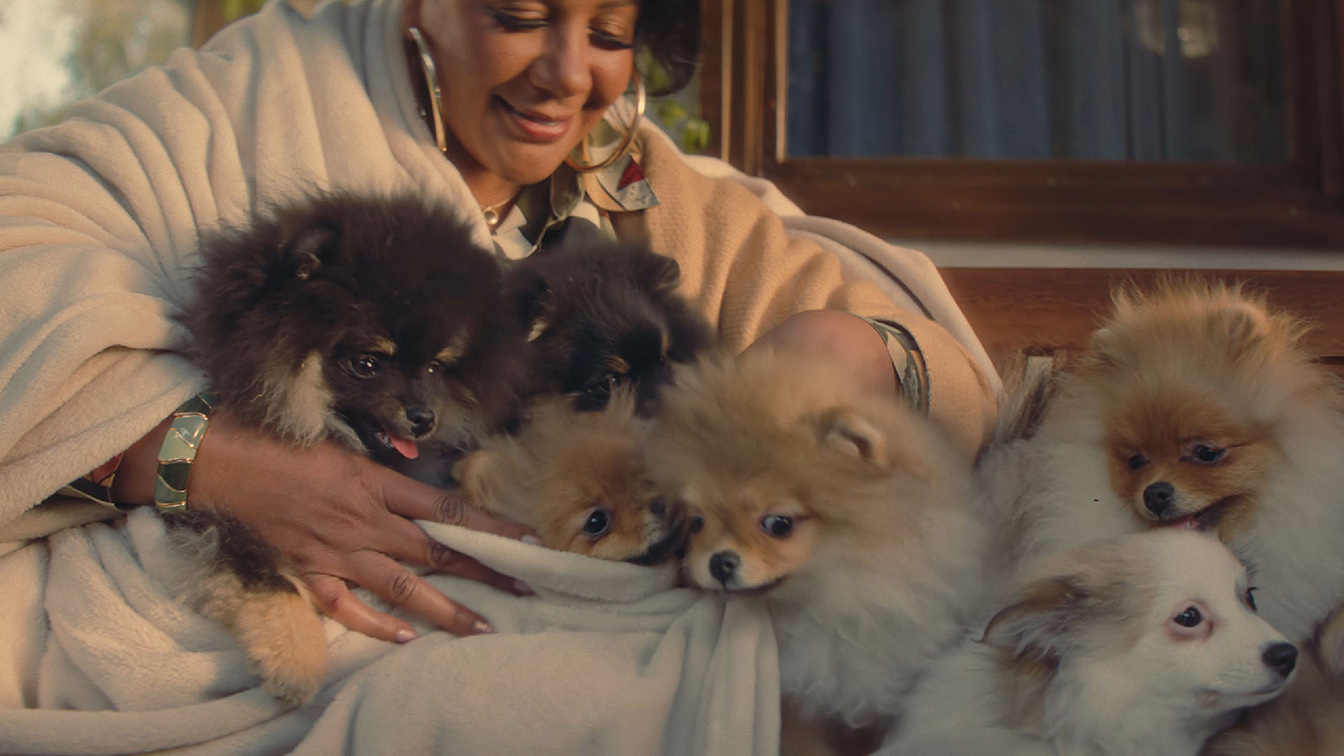 F5 Shanghai creates series of “Cozy Yet Crazy” spots for Bedsure in the U.S. Market