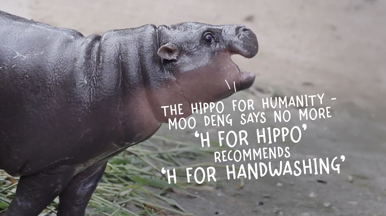 Lifebuoy’s latest ‘H for Handwashing’ campaign teams up with viral hippo, Moo Deng