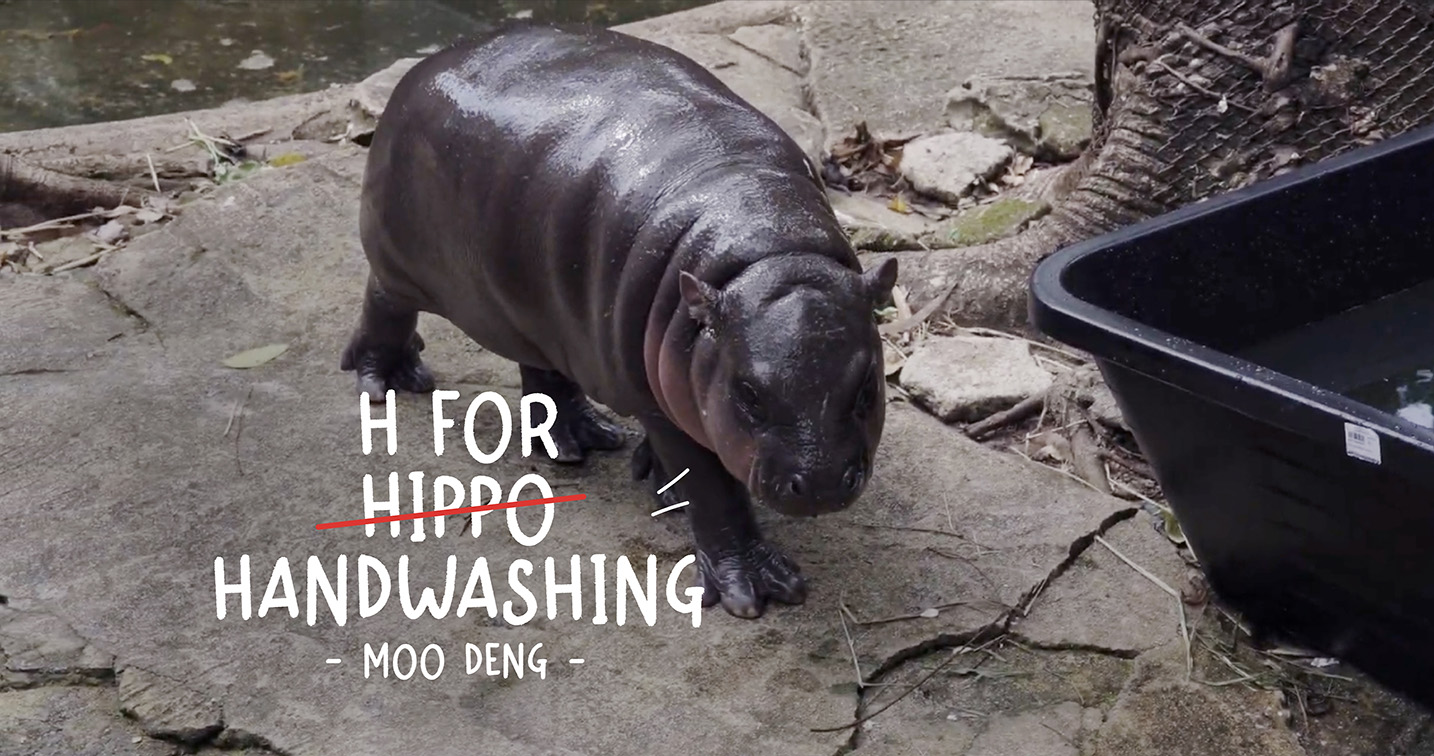 Lifebuoy’s latest ‘H for Handwashing’ campaign teams up with viral hippo, Moo Deng