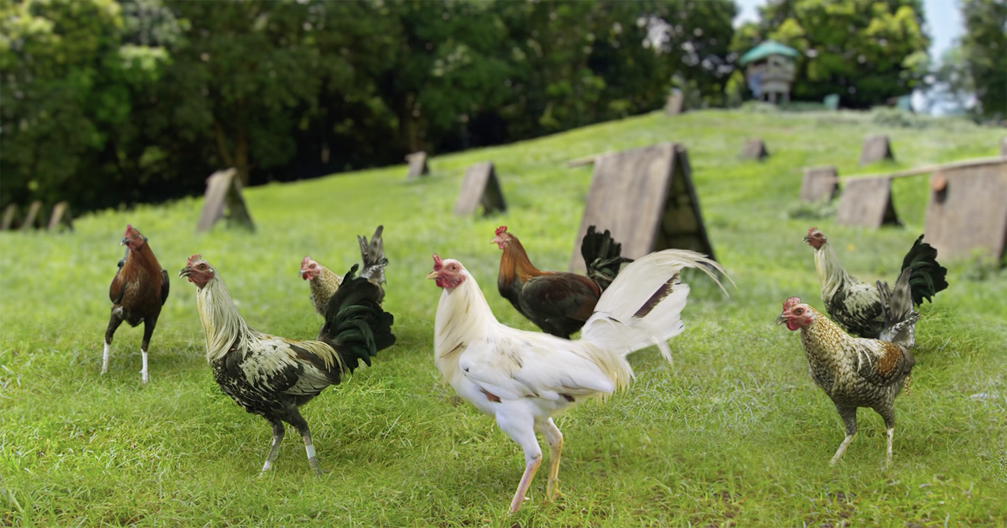 One ‘Buff Chicken’ inspires the whole flock to try LAKING V-22 via new GIGIL Philippines spot