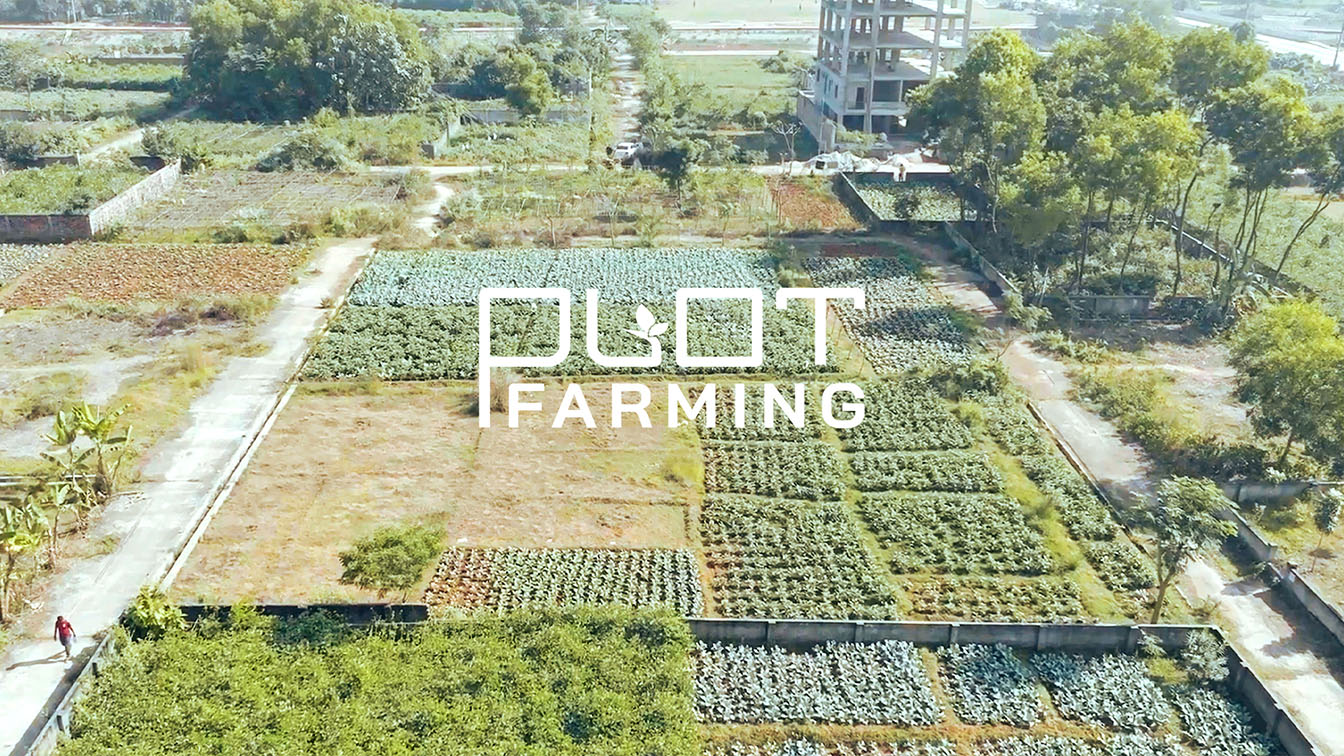 POP5 Bangladesh and Shopnodhora turn empty housing plots into farmlands