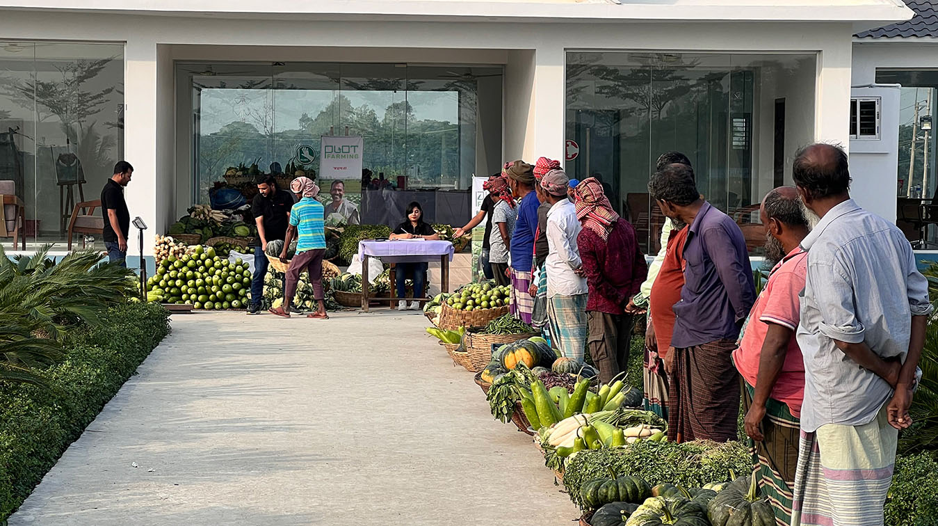POP5 Bangladesh and Shopnodhora turn empty housing plots into farmlands