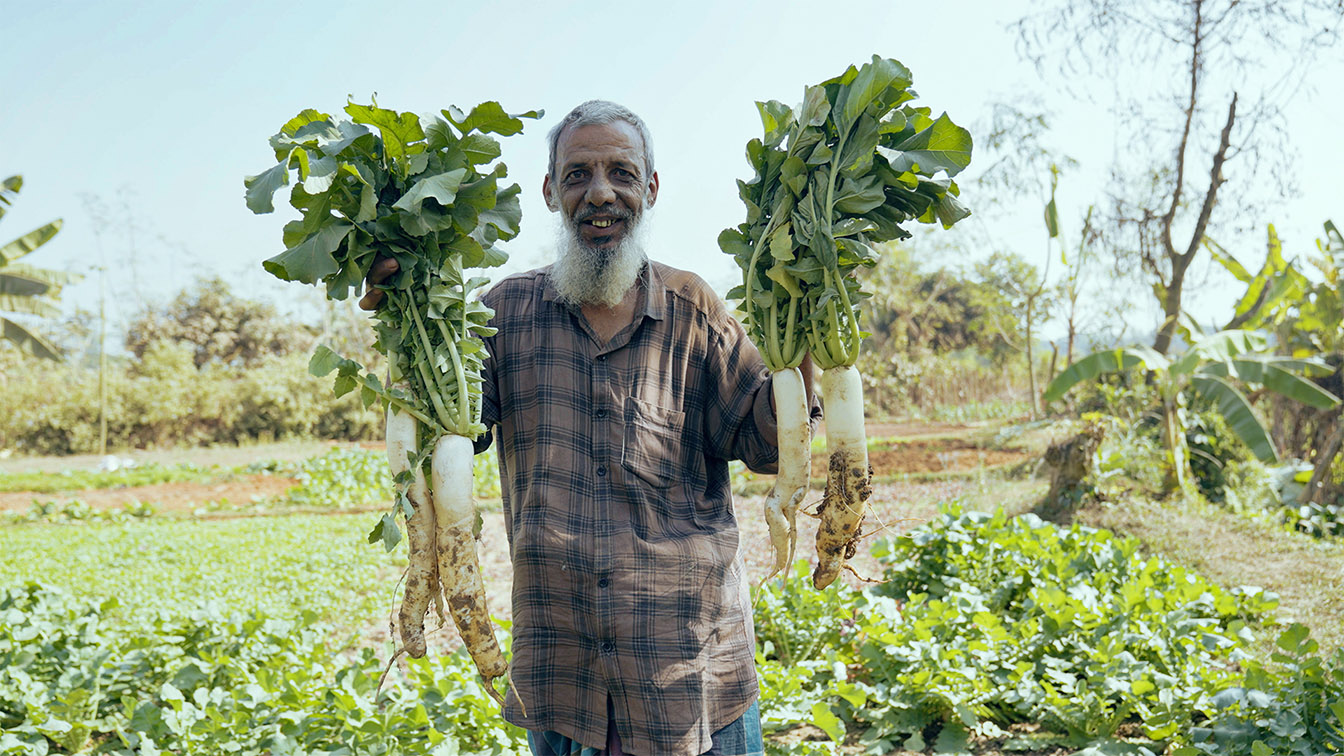 POP5 Bangladesh and Shopnodhora turn empty housing plots into farmlands