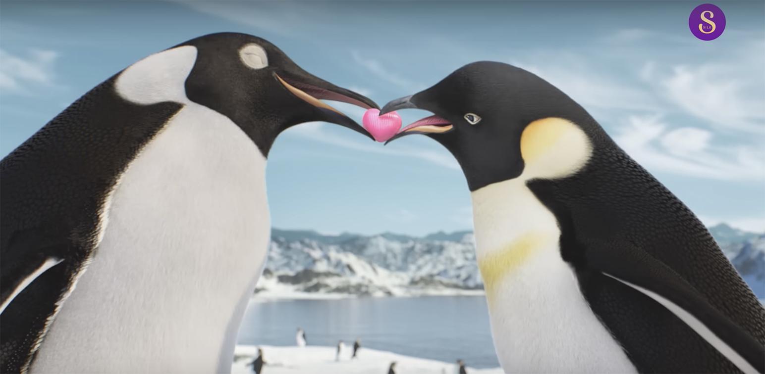 Ogilvy India’s new spot says express your love this Valentine’s Day with Cadbury Dairy Milk Silk