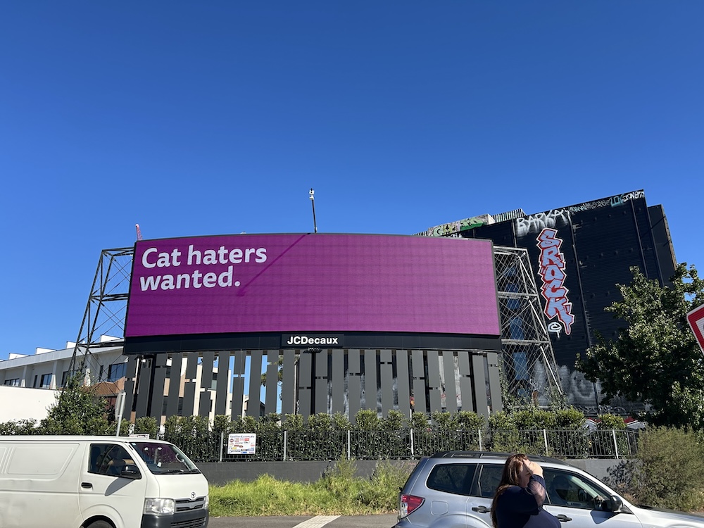 WHISKAS turns ‘cat haters’ into ‘cat lovers’ in bold new adoption campaign via CHEP Network, AMV BBDO London + EssenceMediacom