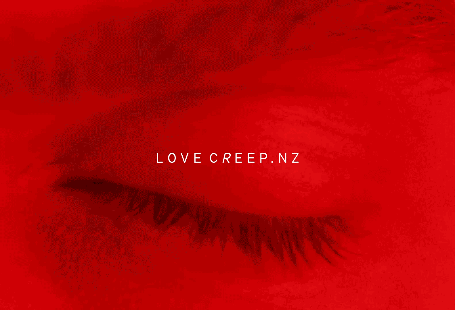 Colenso BBDO takes out coveted Agency of the Year title at 45th NZ AXIS Awards; The Sweetshop named Production Company of the Year