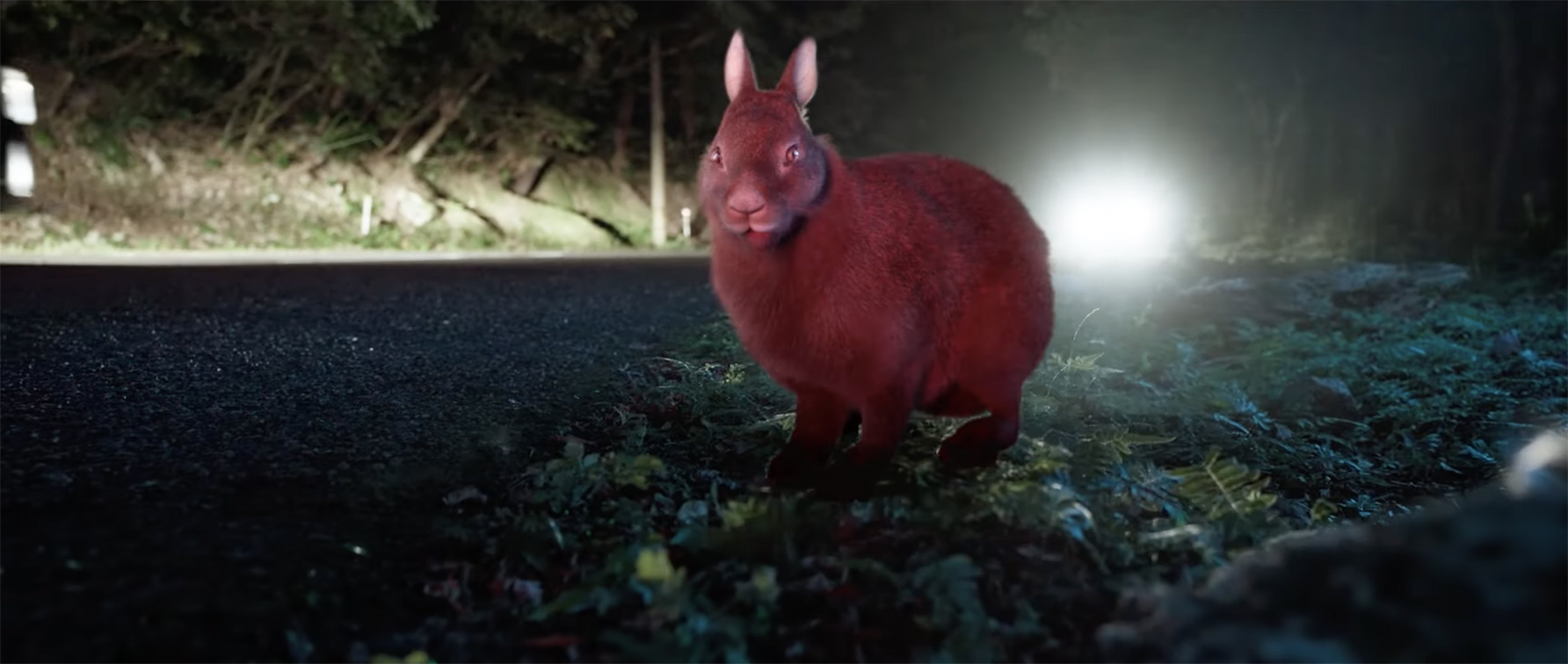 Nissan partners with TBWA\HAKUHODO on new initiative to prevent wildlife roadkill