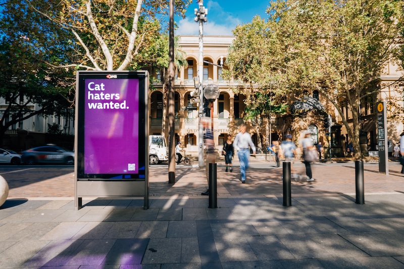 WHISKAS turns ‘cat haters’ into ‘cat lovers’ in bold new adoption campaign via CHEP Network, AMV BBDO London + EssenceMediacom