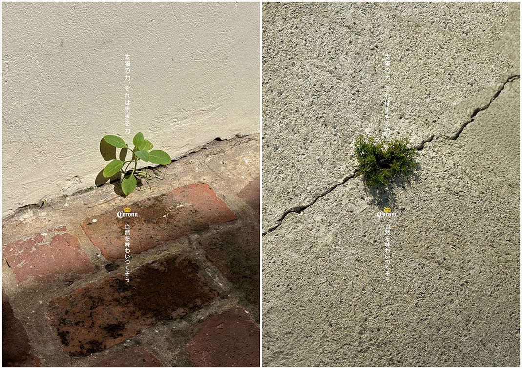 Corona and GUT Asia’s “Impossible Plants” OOH campaign pays tribute to the power of the sun