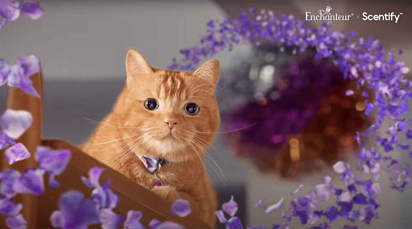 Ogilvy Malaysia’s Raya campaign for Enchanteur and Scentify makes pet odors a thing of the past