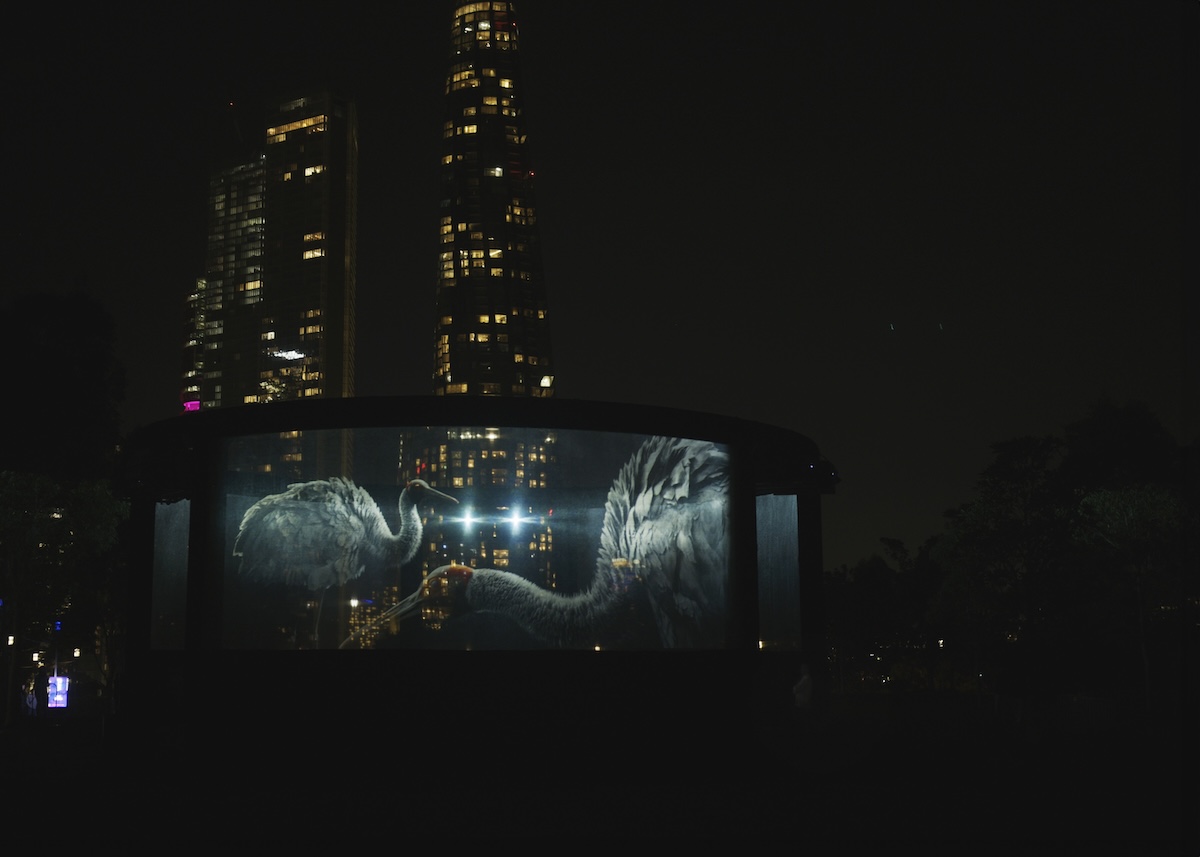 CICLOPE APAC Awards 2025: Revolver + Director Jeff Low score Grand Prix for Telstra ‘Better on a Better Network’ via Bear Meets Eagle on Fire with +61; Scoundrel named Production Company of the Year; Tim Bullock wins Director of the Year