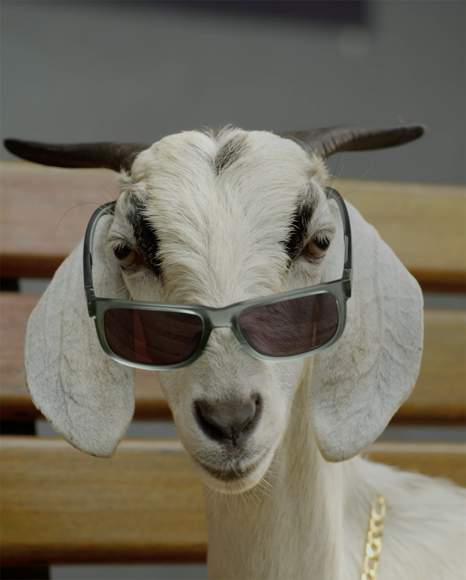 Flipkart’s G.O.A.T Sale is so good even ‘Amazon People’ are shopping there (sort of)