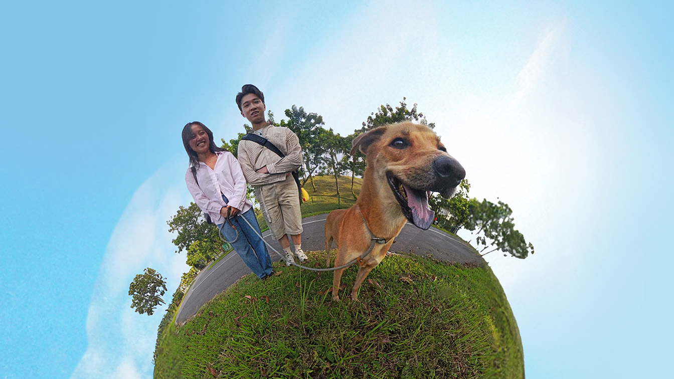 McCann Worldgroup + Klook invite animal lovers to discover Singapore specials this December