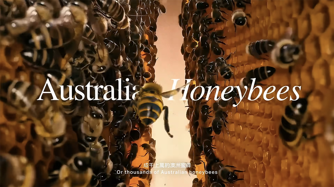 Leo Hong Kong extends Cathay Cargo’s ‘We Know How’ platform with ‘How on Earth’