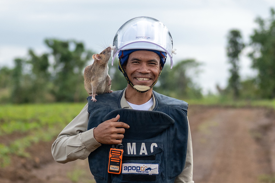 APOPO, TBWA\Singapore and Kohlective unveil monument honouring landmine-detecting rat