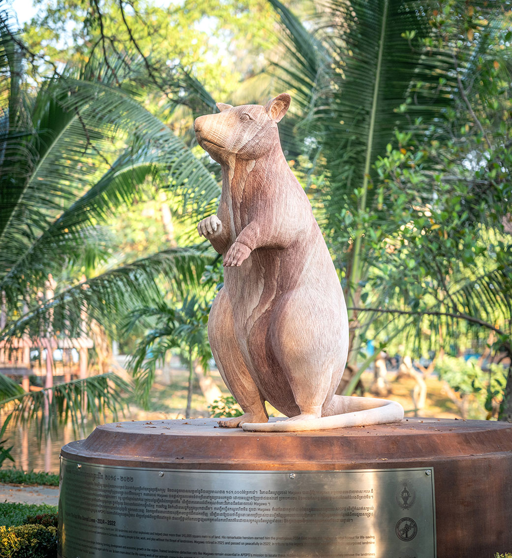 APOPO, TBWA\Singapore and Kohlective unveil monument honouring landmine-detecting rat