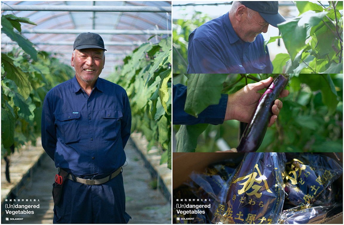 Droga5 Tokyo and SOLAMENT repurpose industrial tech to save Japan’s ‘endangered vegetables’