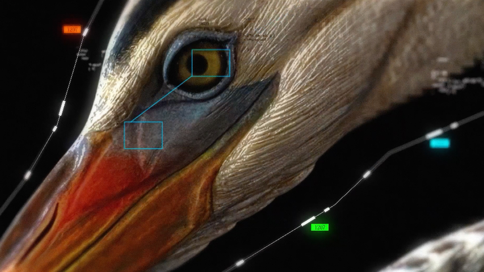 Spoor and FP7 McCANN MENAT launch ‘The Birdwatcher’ to protect wind farm wildlife