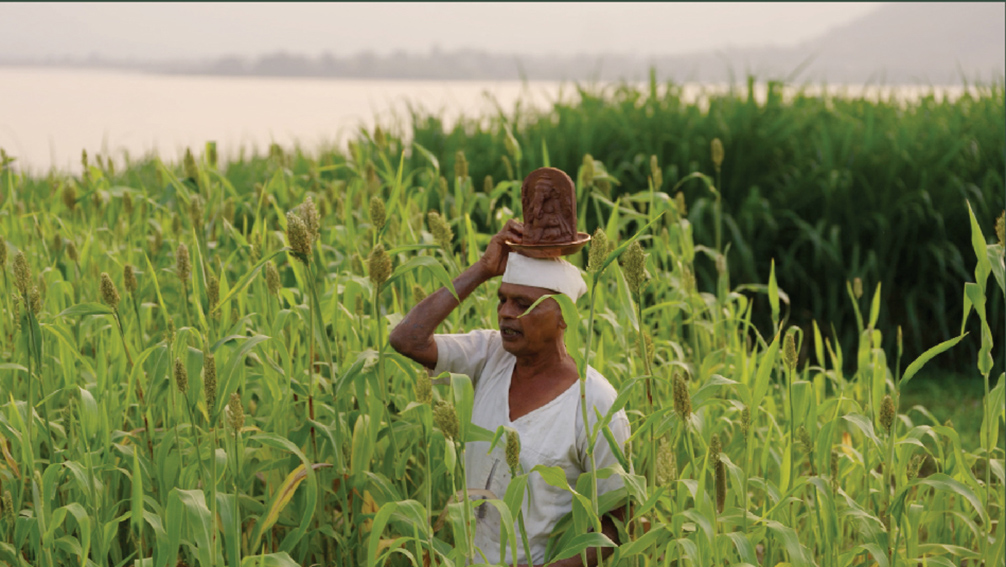 Into Creative and VJ Organic Farms launch ‘Vighnaharta’ to repel rats naturally