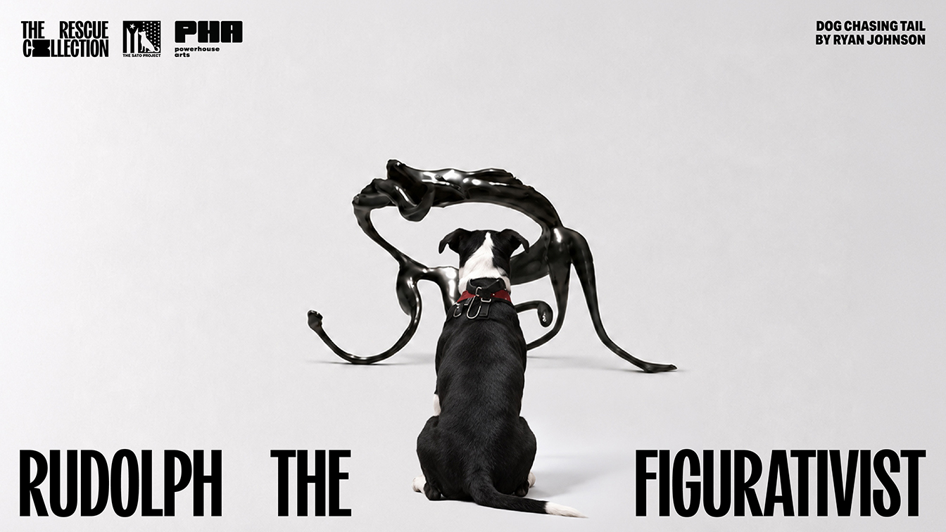 BLKJ Havas Singapore and Havas NY create gallery experience to help rescue dogs find homes