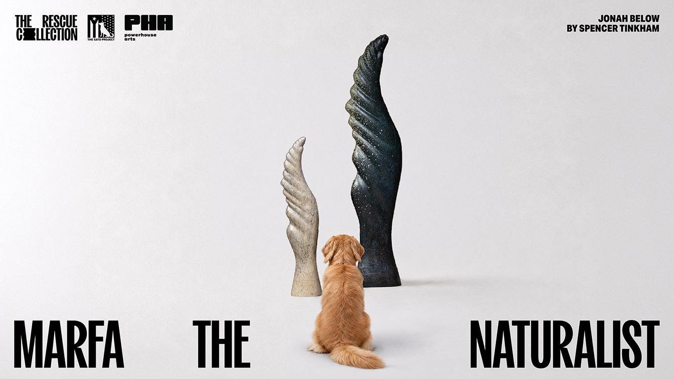 BLKJ Havas Singapore and Havas NY create gallery experience to help rescue dogs find homes